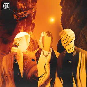 最新女人另类CCCC
