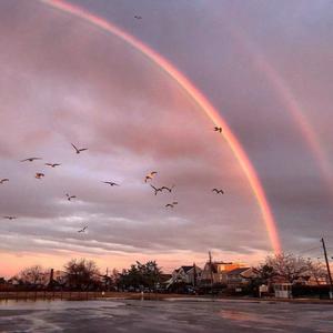最新女人另类CCCC
