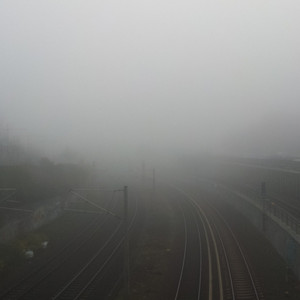 最新女人另类CCCC
